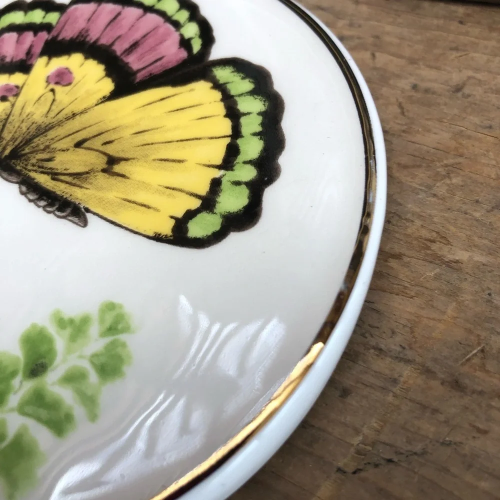 Pier 1 Butterfly Porcelain Coasters Set of 4